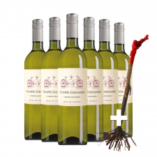 Échappée Gourmande Côtes de Thongue wit met wijnstok