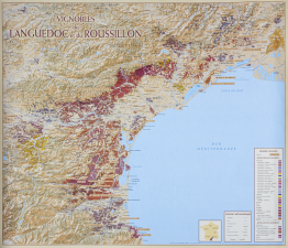 Poster wijngaarden wijnstreek Languedoc en Roussillon