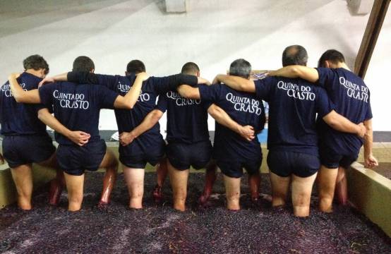 Traditioneel druiven treden in de lagar